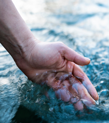 <a href="/collections/su-aritma" title="Su Arıtma">Su Arıtma</a>