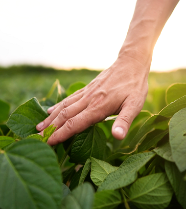 <a href="/collections/tarim-ve-sulama" title="Tarım ve Sulama">Tarım ve Sulama</a>